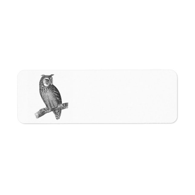 Graphic Owl (Front)