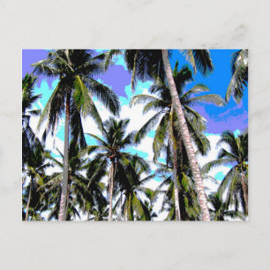 Graphic Palm Trees Design Postcard