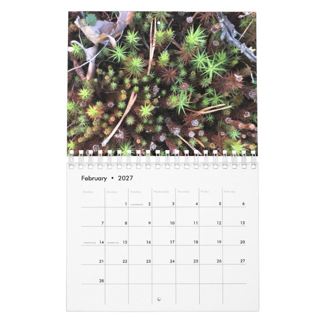 Graphic photo calendar (Feb 2027)