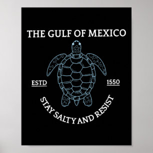 Graphic Sea Turtle Gulf Of Mexico Est 1550 Poster