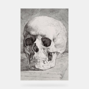 Graphic Skull Art: Minimalist & Bold Ink Design Acrylic Sign