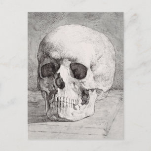 Graphic Skull Art: Minimalist & Bold Ink Design Announcement Postcard