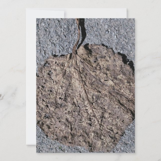 Graphic/Textured Invitation (Front)