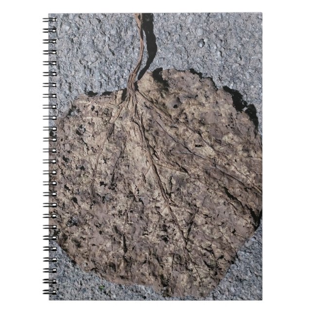 Graphic/Textured Notebook (Front)