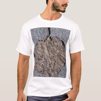 Graphic/Textured T-Shirt