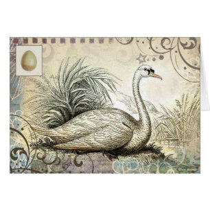 Graphique de cygne
