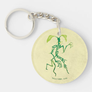 Graphique de typographie BOWTRUCKLE™ PICKETT™