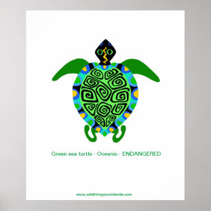 Graphique tropical mer verte TURTLE - poster