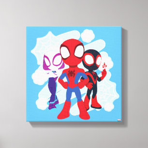 Graphisme de la toile de l'équipe Spidey