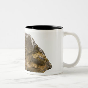Graphite, Danville, Vermont, USA Two-Tone Coffee Mug