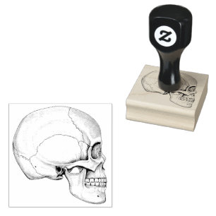 'Graphite' Illustrated Skull Rubber Stamp