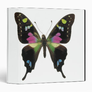 Graphium butterfly binder