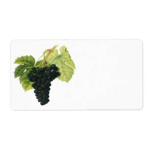 Grappe de raisin biologique de vin rouge vintage,