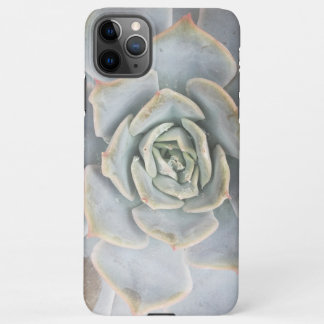 Graptoveria Huths Pink Electronics Bag iPhone 11Pro Max Case