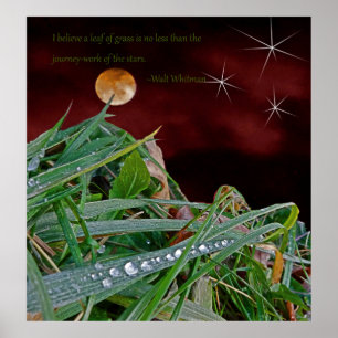"Grass", affiche d'art avec la citation de Walt Wh