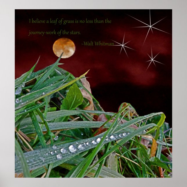 "Grass", affiche d'art avec la citation de Walt Wh (Devant)