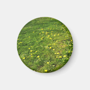 Grass and Dandelions Magnet