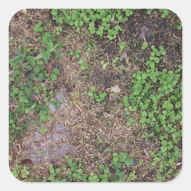 grass and dirt patch square sticker (Front)
