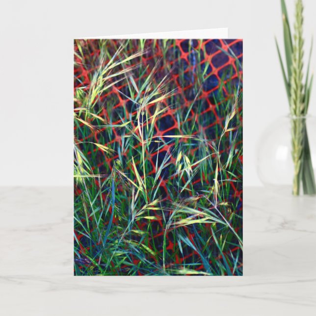 Grass and Plastic Card (Front)