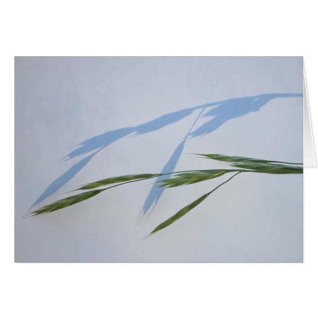 Grass and Shadow (Front Horizontal)