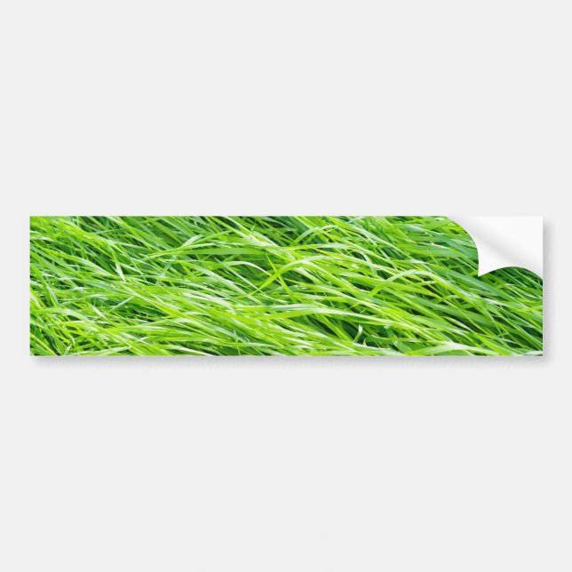 Grass Bumper Sticker (Front)