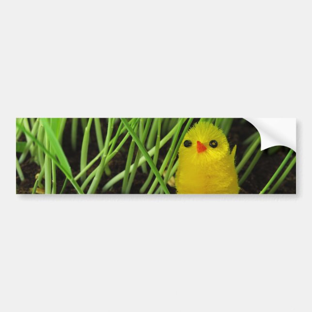 grass chick bumper sticker (Front)
