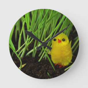 grass chick round clock