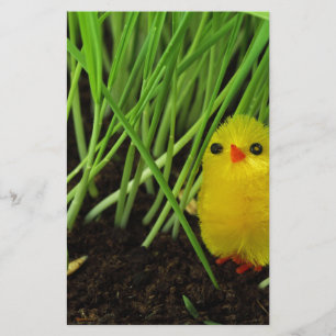 grass chick stationery