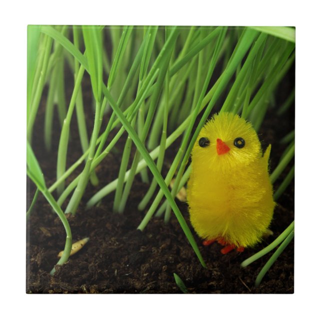grass chick tile (Front)
