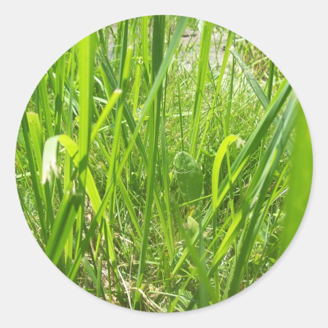 Grass Classic Round Sticker (Front)