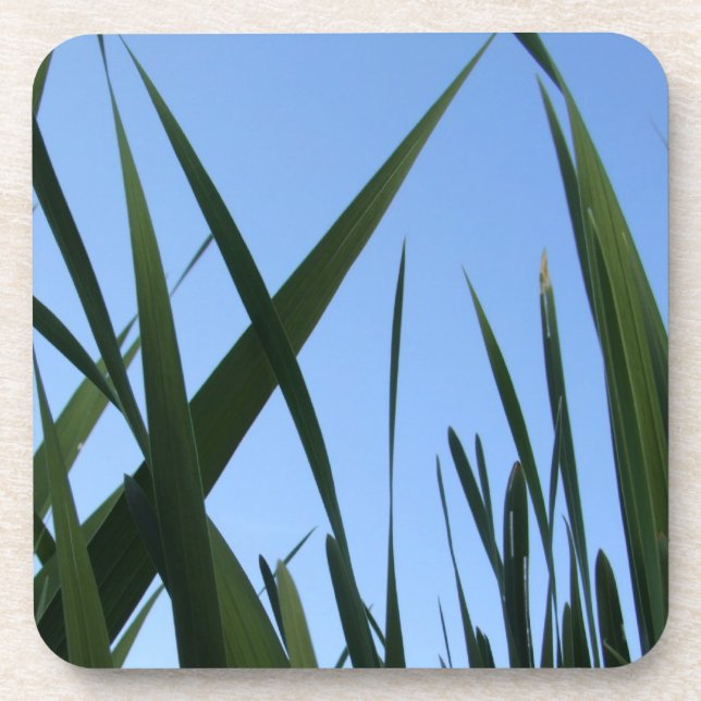 Grass Coasters (Front)