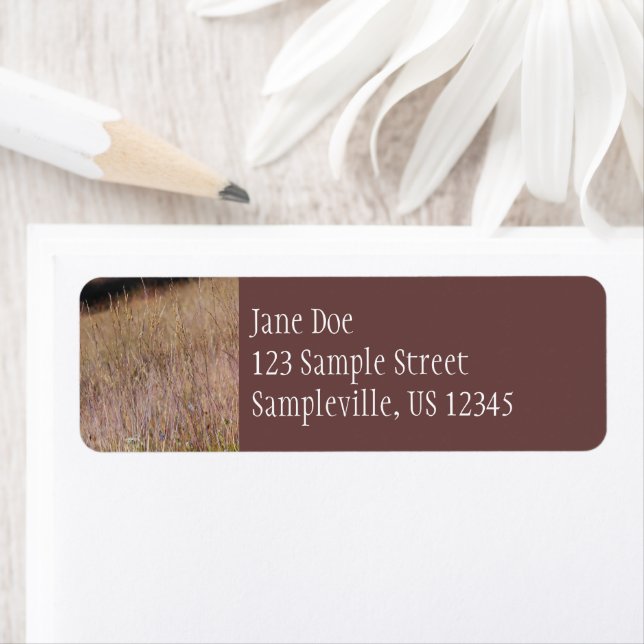 Grass et Fleurs sauvages violets (En situation)