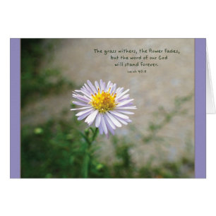 Grass garrots, fleurs fade Parakaleo carte note