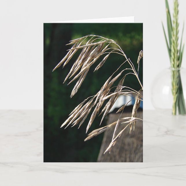Grass Gone To Seed Card (Front)