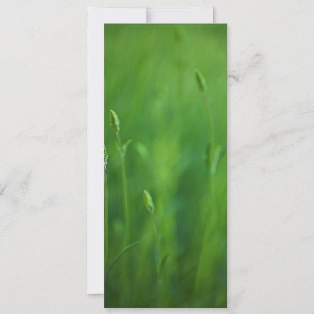 Grass - Green Grasses Background Template (Front)