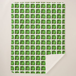 Grass Green Sherpa Blanket