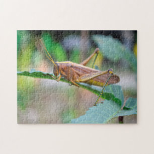 Grass Hopper Guyana. Jigsaw Puzzle