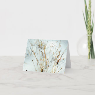 Grass in Snow Thank You Card