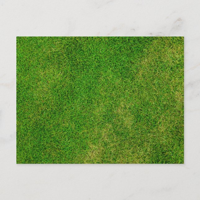 Grass Lawn Postcard (Front)