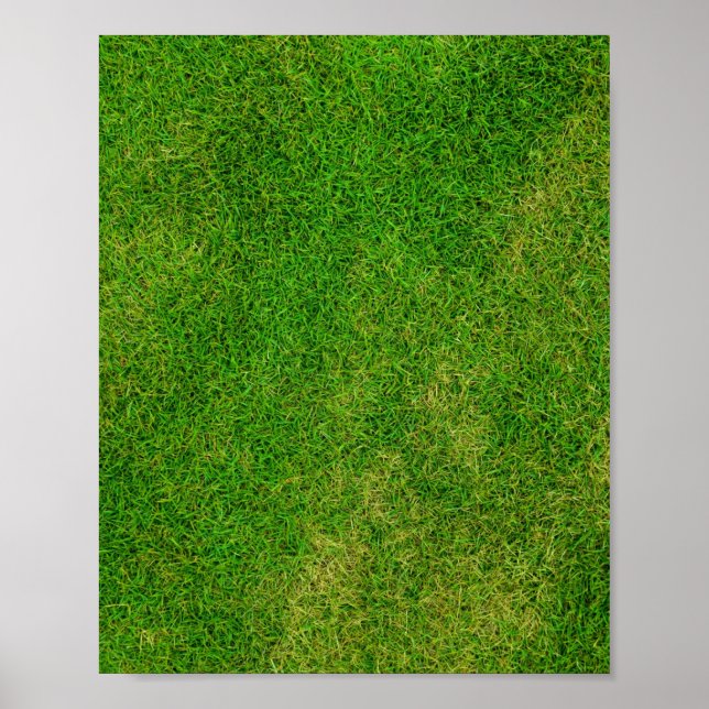 Grass Lawn Poster (Front)
