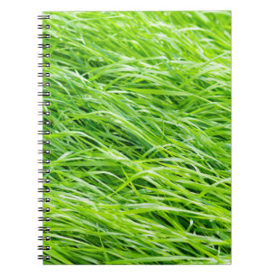 Grass Notebook