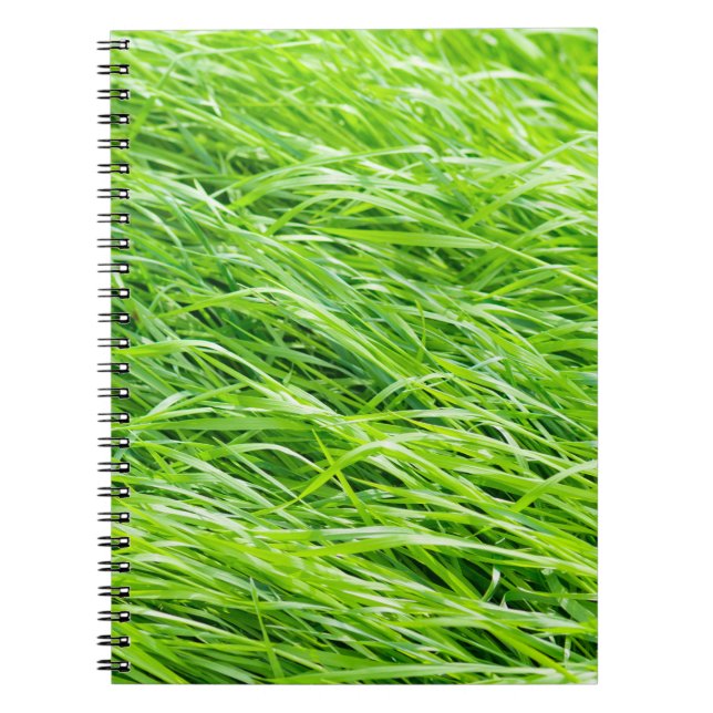 Grass Notebook (Front)
