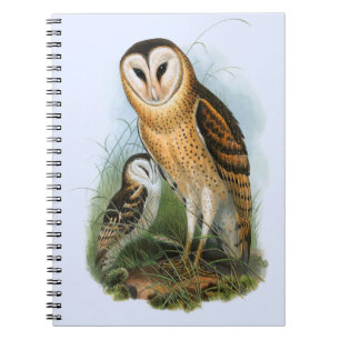 Grass Owl Notebook (80 Pages B&W)