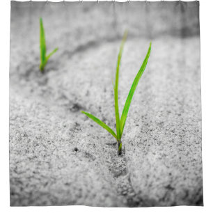 Grass pavement brick poetry stone