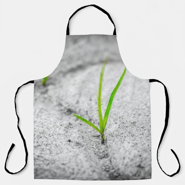 Grass pavement brick poetry stone apron (Front)