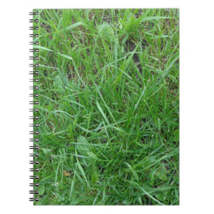 Grass Photo Notebook
