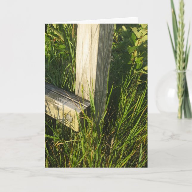 Grass Post Card (Front)