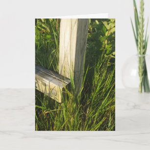 Grass Post Card
