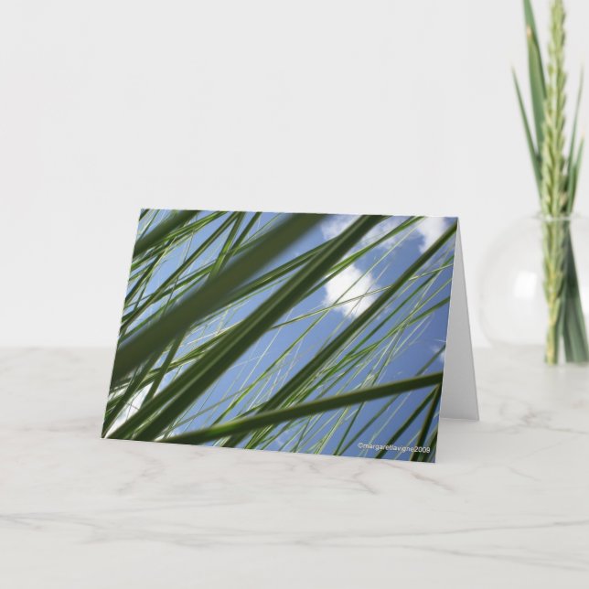 Grass Prism  - Notecard (Front)