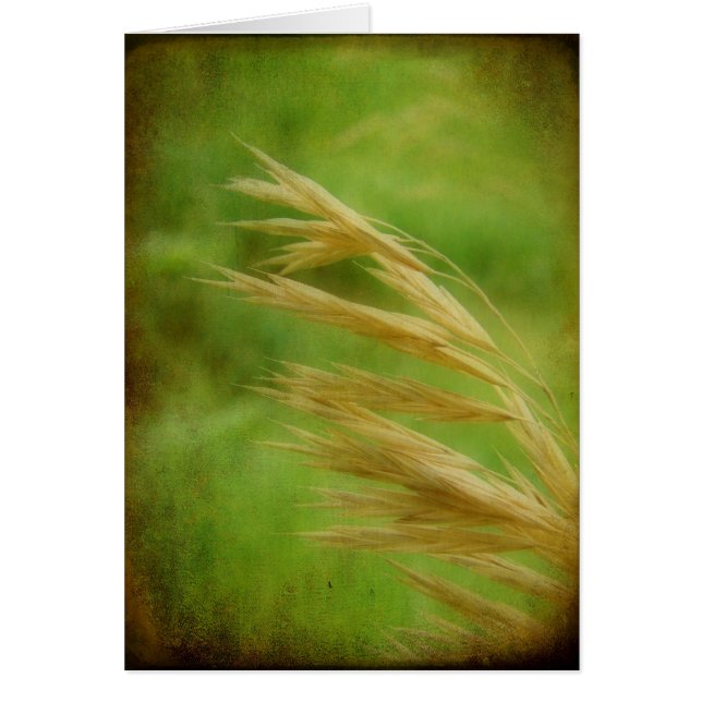 Grass Seed All Occassion Greeting Card (Front)